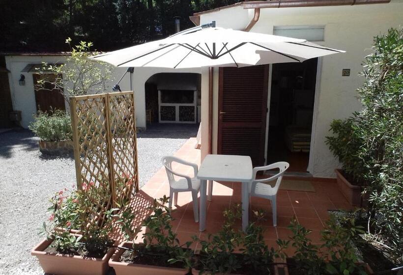 استودیوی استاندارد, Residence Le Mimose