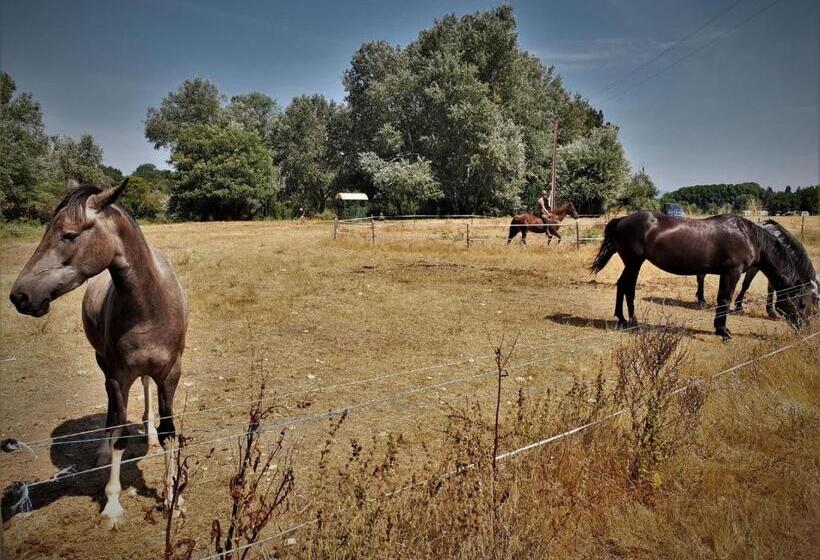 침실 1개 주택, Ferme Equestre Les Coccinelles