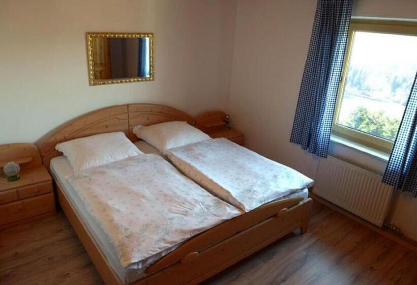 Номер Стандарт, Pension Zum Lusenblick