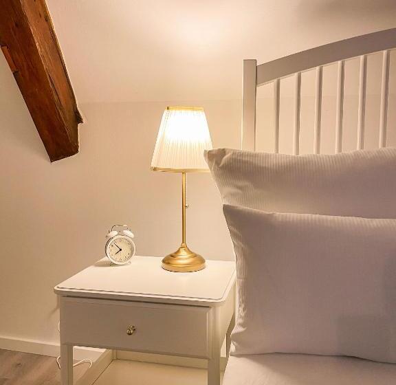 Люкс с Террасой, Apartone Altstadt