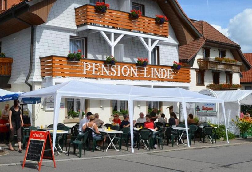 스탠다드 싱글 룸, Pension Linde