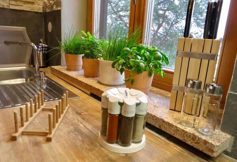 Апартаменты 1 Спальня с Балконом, Casa Shania