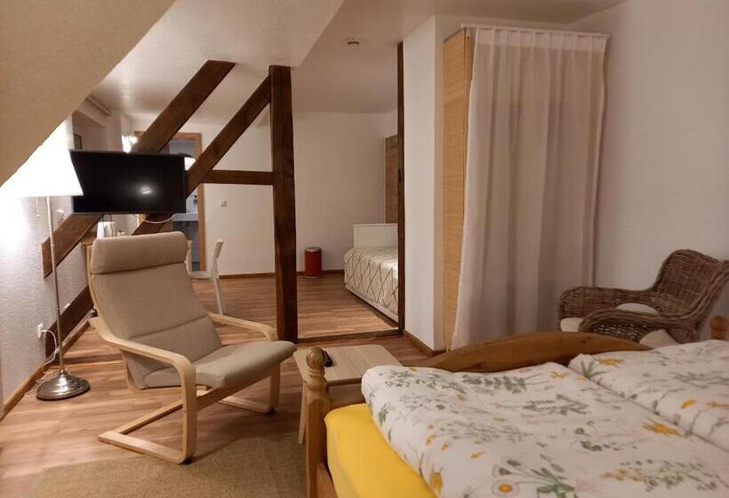 Трехместный Номер Стандарт с Видом, Waldpension Harzer Waldwinkel