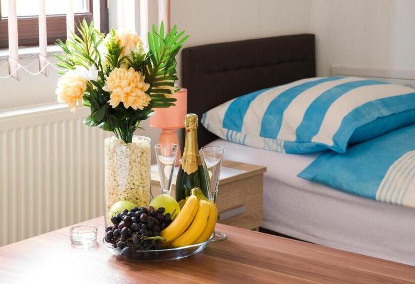 اتاق استاندارد, Guesthouse Vila Puzic