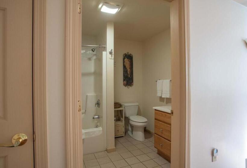 Номер Deluxe, Swift River Suites