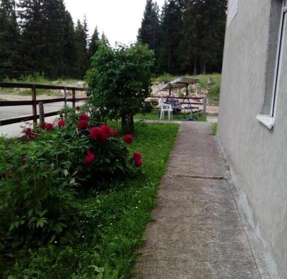 اتاق استاندارد با تراس, Guesthouse Andrea A