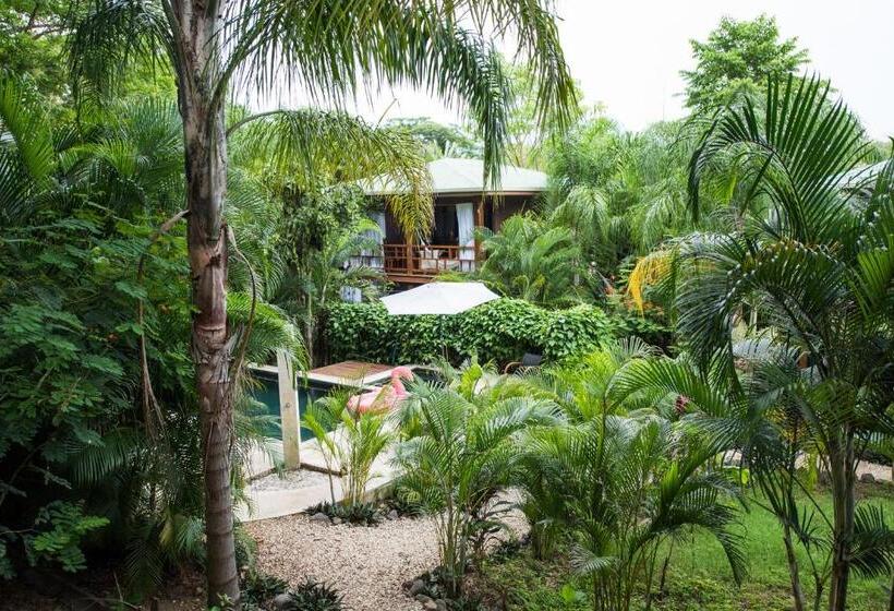 آپارتمان 1 خوابه با چشم‌انداز استخر, Ohana Villas