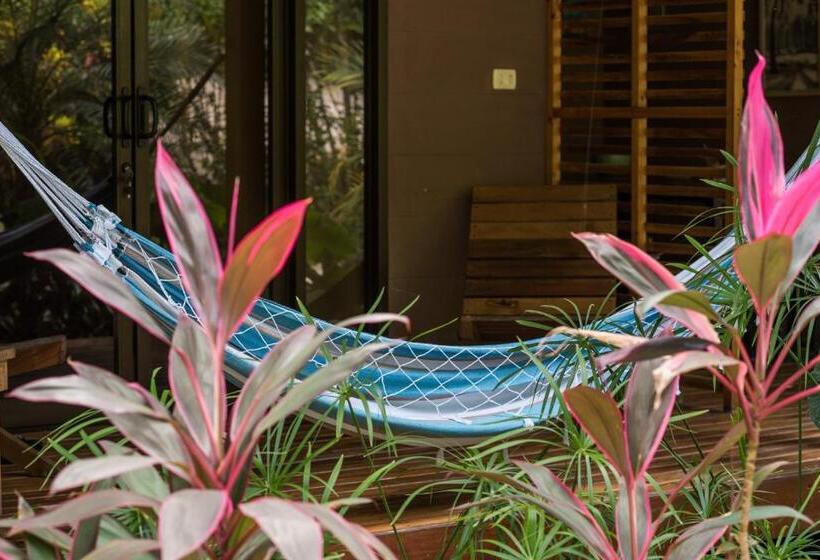 اتاق لوکس, Ohana Villas