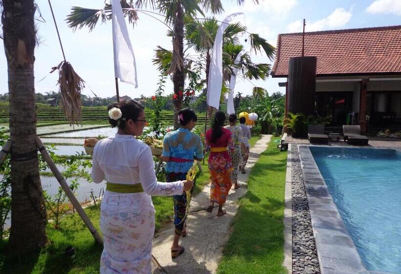 シングルデラックスルーム, Kampung Canggu