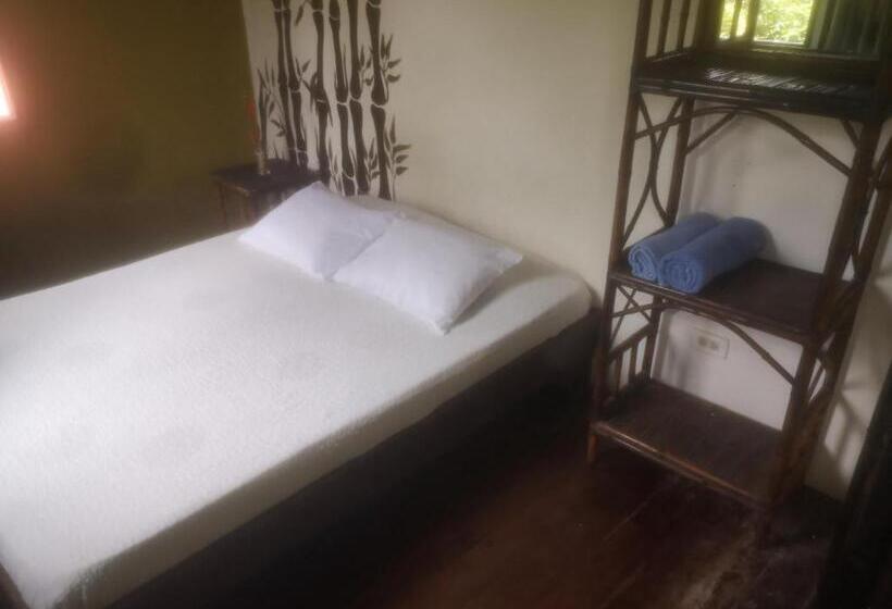 バス共有のスタンダードルーム, Hostel Antorchas