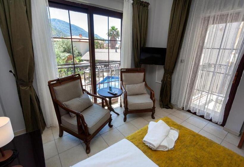 اتاق استاندارد با چشم‌انداز استخر, Tokgoz Butik Hotel&apartment