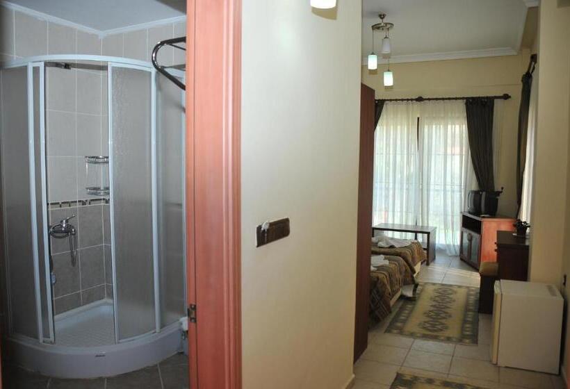اتاق استاندارد با چشم‌انداز استخر, Tokgoz Butik Hotel&apartment