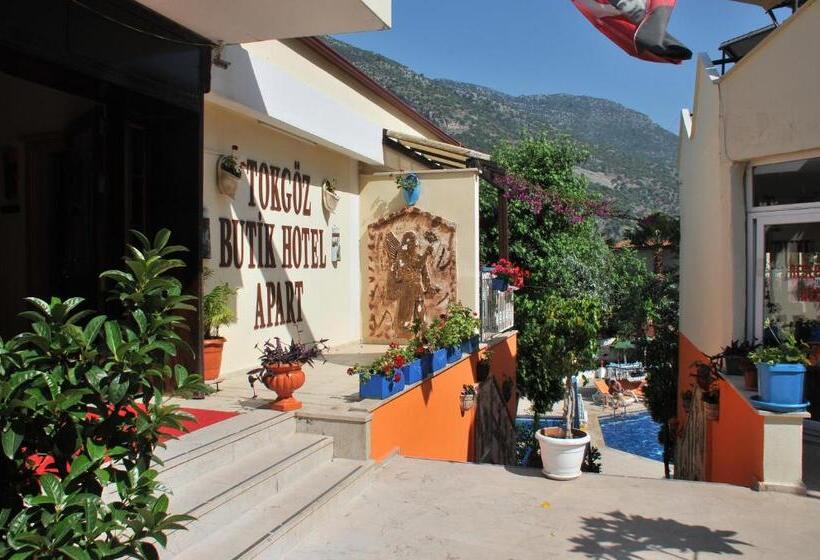 اتاق استاندارد با چشم‌انداز استخر, Tokgoz Butik Hotel&apartment