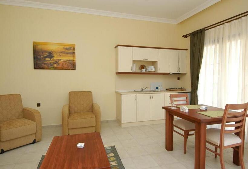 آپارتمان 1 خوابه, Tokgoz Butik Hotel&apartment