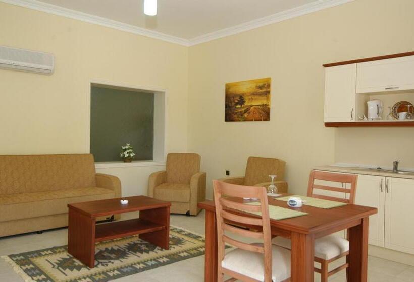 آپارتمان 1 خوابه, Tokgoz Butik Hotel&apartment