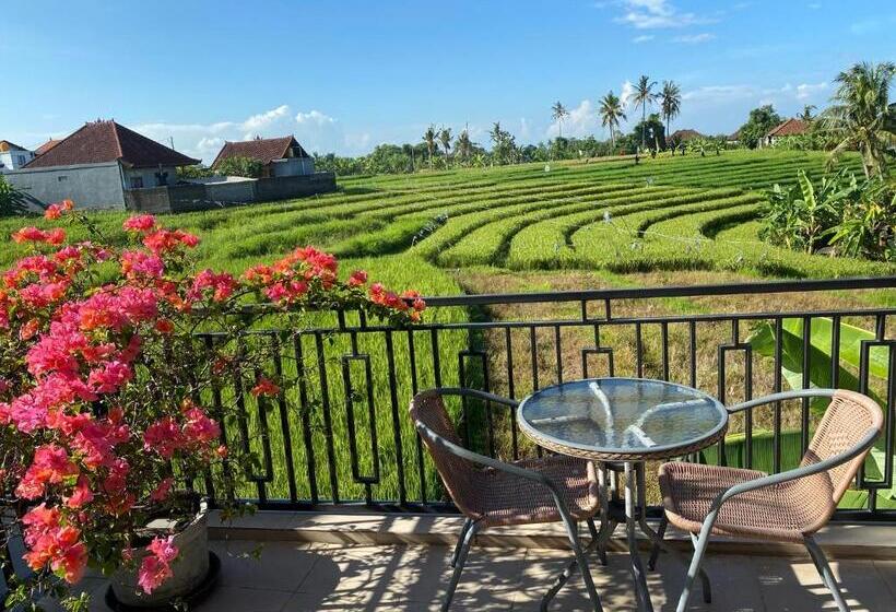 高级大房间, Canggu   Pererenan Guesthouse  Abalihouse