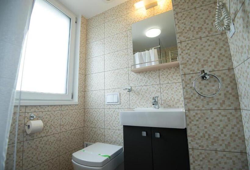 חדר סטנדרט לשלושה, Panorama Business Inn