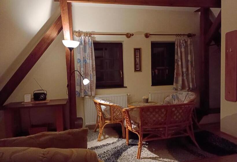 Номер Стандарт Вид на Город, Guest House Olšakovský