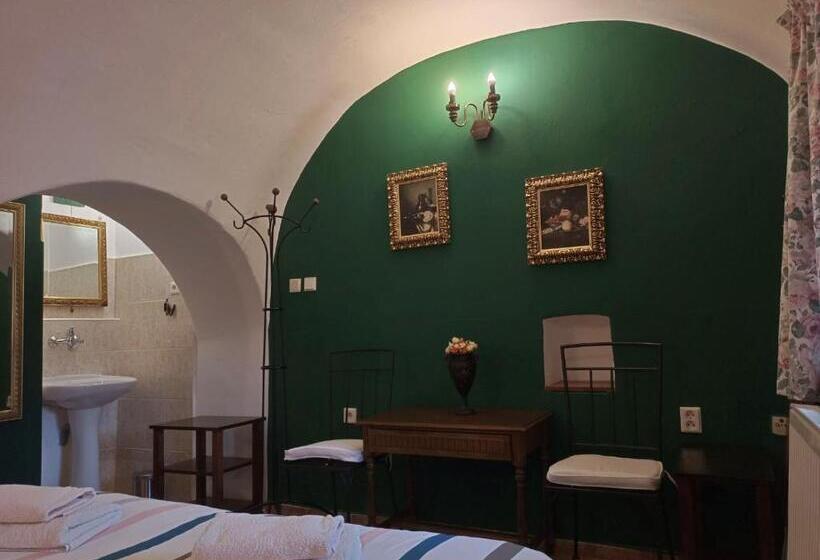 Номер Стандарт Вид на Сад, Guest House Olšakovský