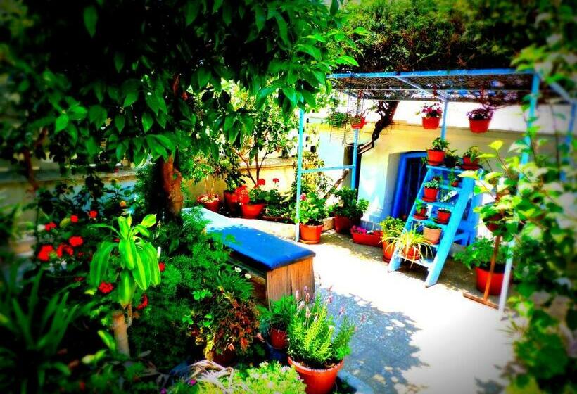 اتاق استاندارد یک نفره, Blanca Rosa Valparaiso B&b