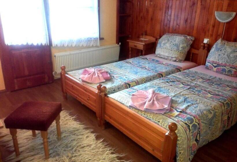 Номер Стандарт, Veselata Guest House