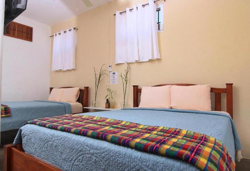 اتاق لوکس, Rainforest Haven Inn