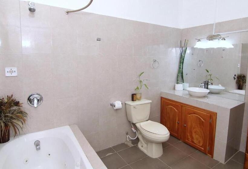 اتاق لوکس, Rainforest Haven Inn