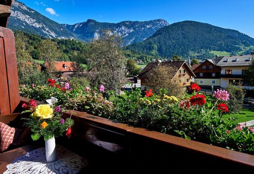 Номер Стандарт, Linharterhof