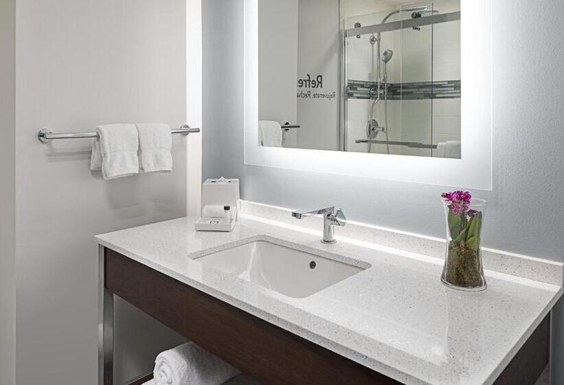 带大床的豪华间, Even Hotel Alpharetta   Avalon Area, An Ihg