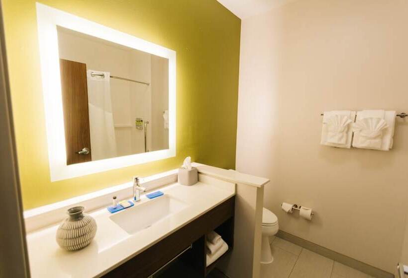 스탠다드 룸, Holiday Inn Express & Suites Birmingham   Homewood By Ihg