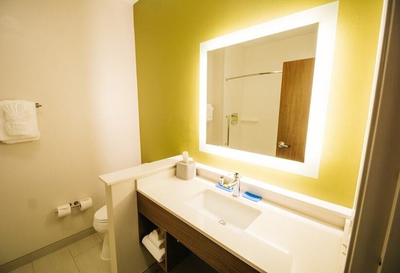 스위트, Holiday Inn Express & Suites Birmingham   Homewood By Ihg