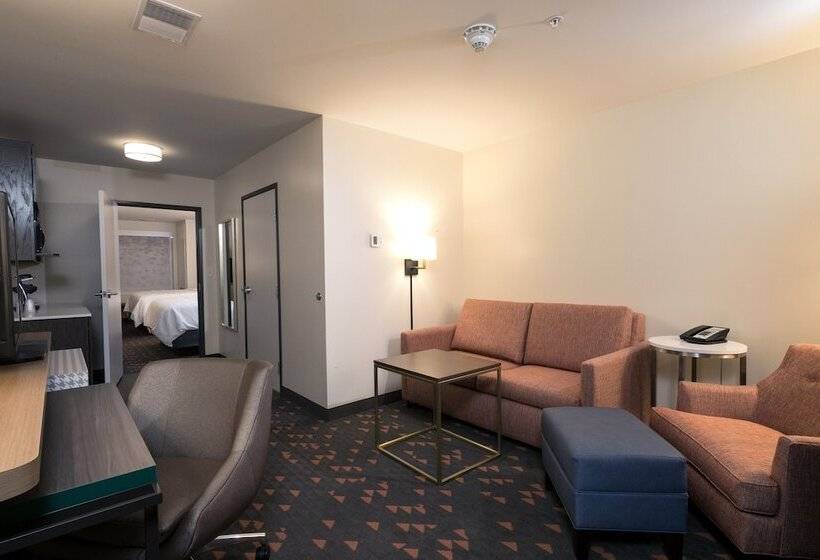 套房, Holiday Inn   Kalamazoo West, An Ihg