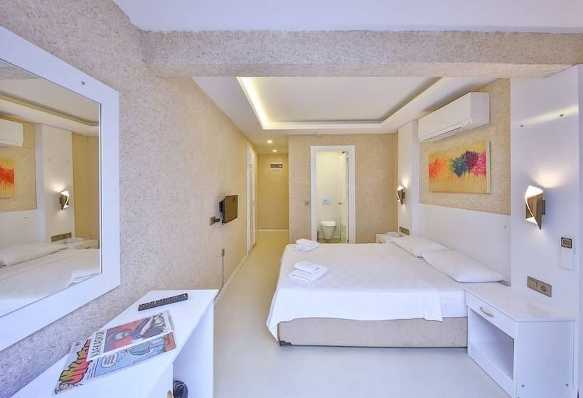 Quarto Estandar, No37