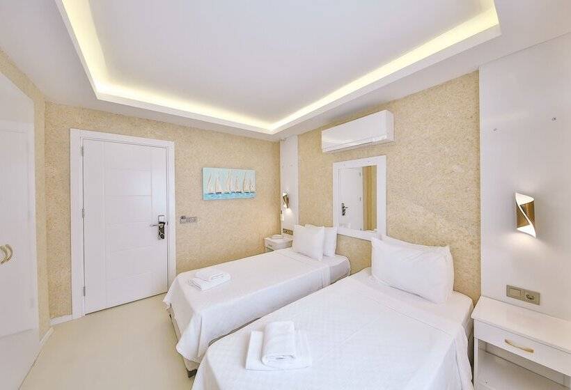 Quarto Economy, No37