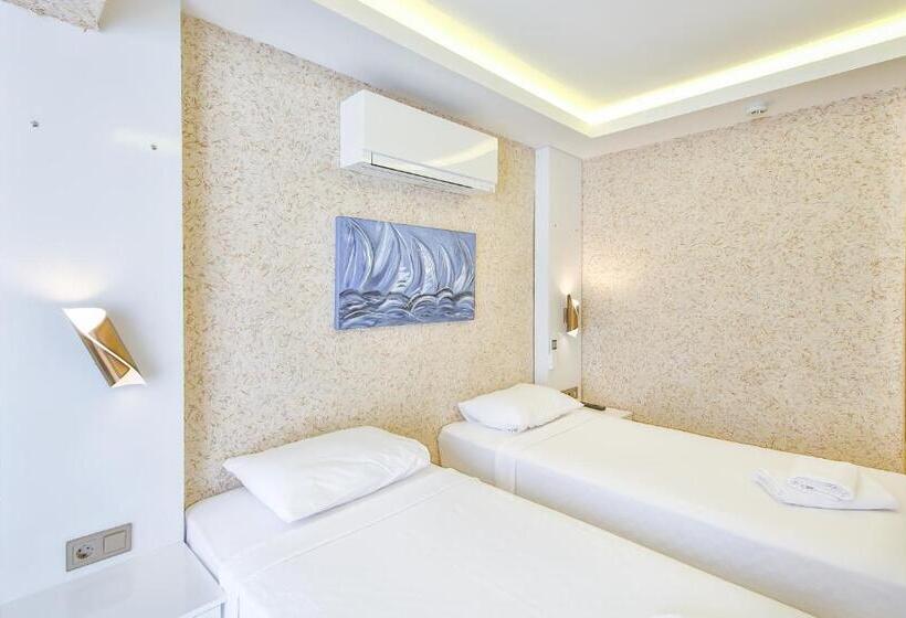 Quarto Estandar, No37