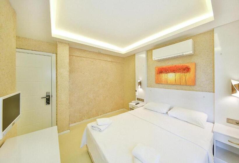 Quarto Economy, No37