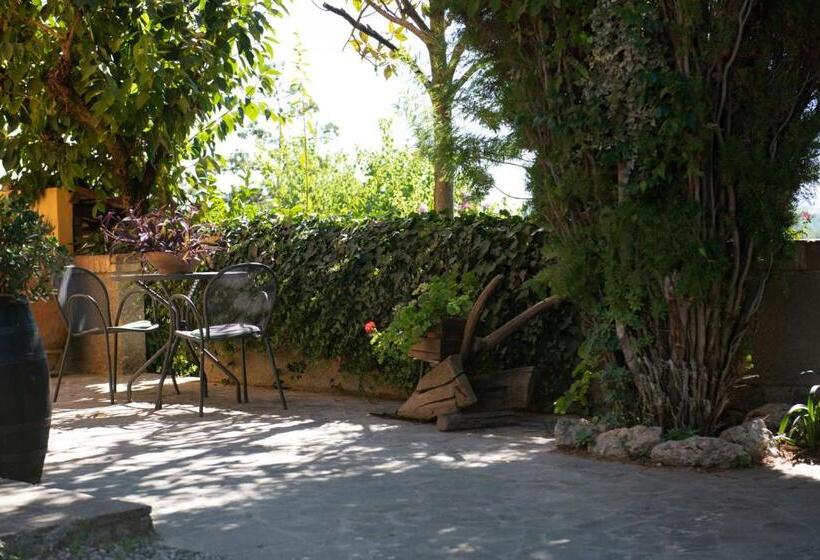 Апартаменты 1 Спальня, Agriturismo Il Colle