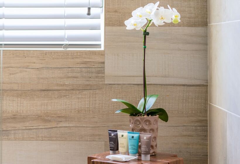 Quarto Deluxe, Lennox Miami Beach