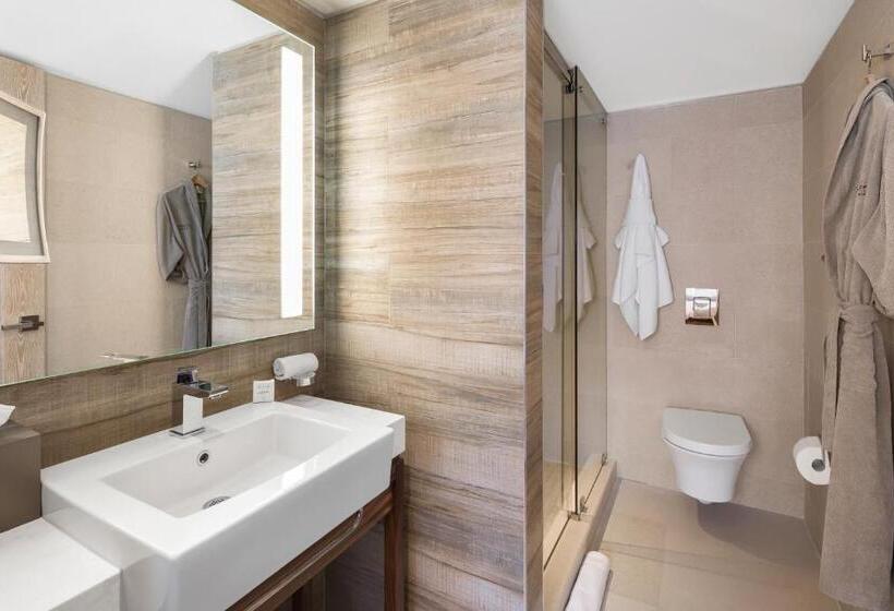 适合残疾人使用的标准间, Lennox Miami Beach