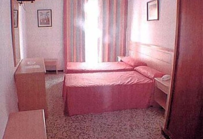 Quarto Estandar Individual, Iris