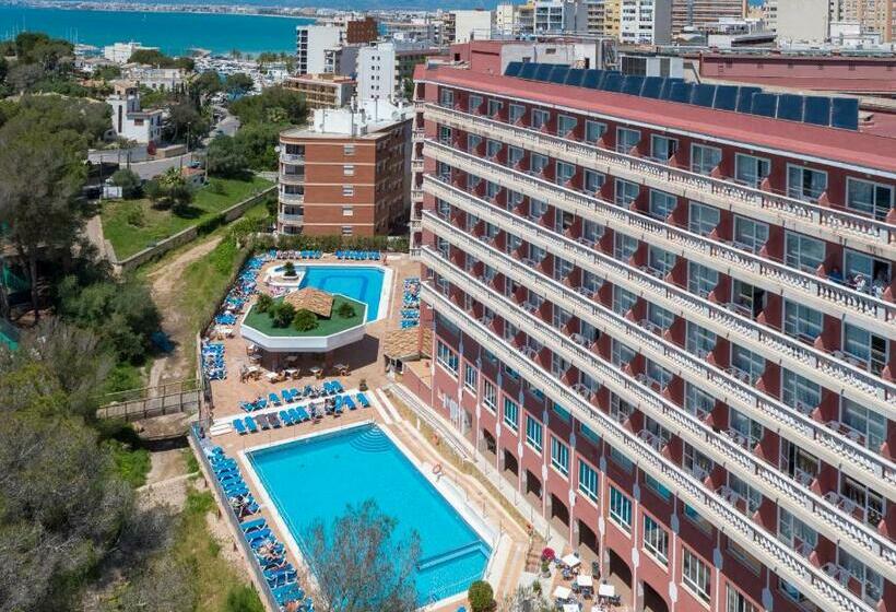 스탠다드 룸 풀장 전망, Seramar Hotel Luna Park Adults Only