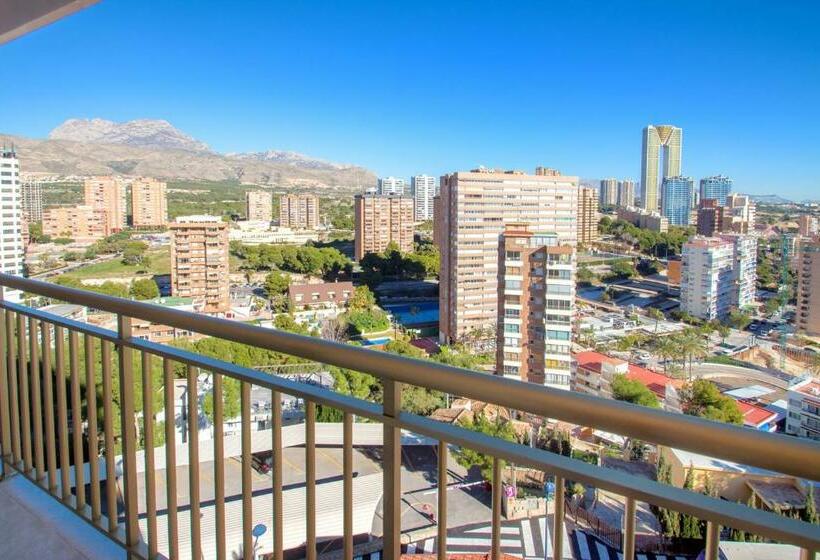 스탠다드 룸, Servigroup Torre Dorada