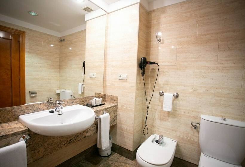 اتاق استاندارد یک نفره, Sercotel Ciudad De Oviedo