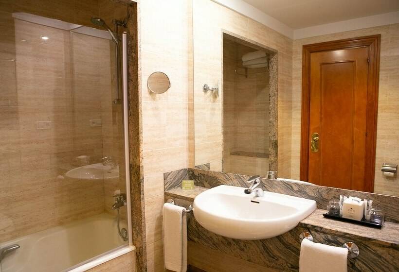 اتاق استاندارد یک نفره, Sercotel Ciudad De Oviedo