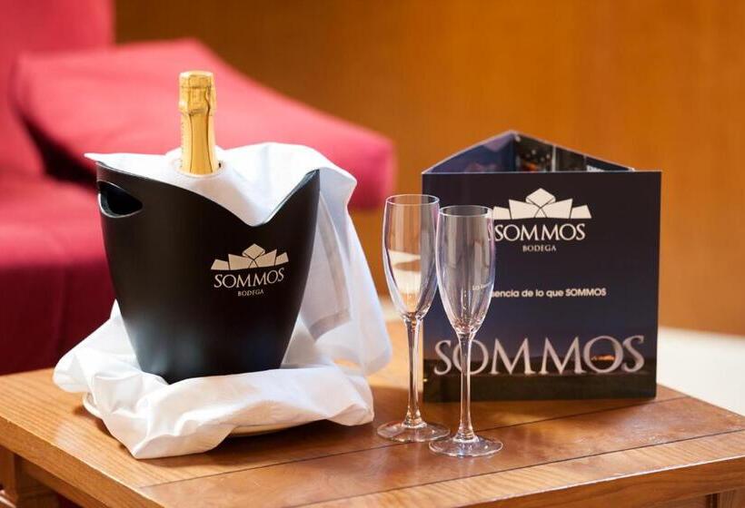 Люкс, Sommos Hotel Benasque Spa