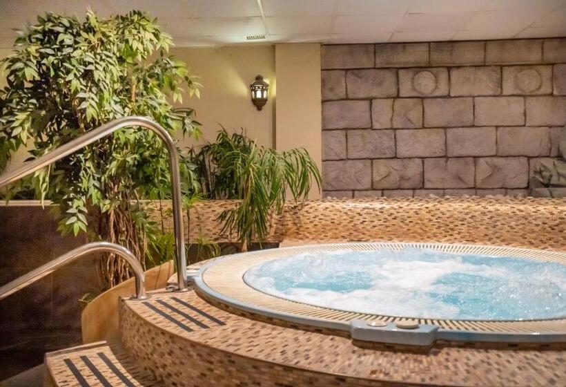 اتاق استاندارد با دسترسی به اسپا, Spa Cádiz Plaza