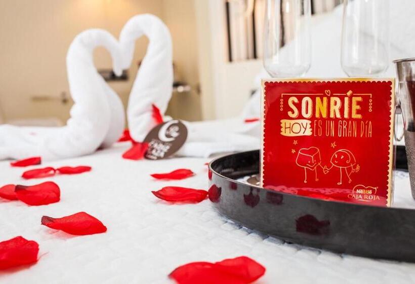 اتاق استاندارد با دسترسی به اسپا, Spa Cádiz Plaza