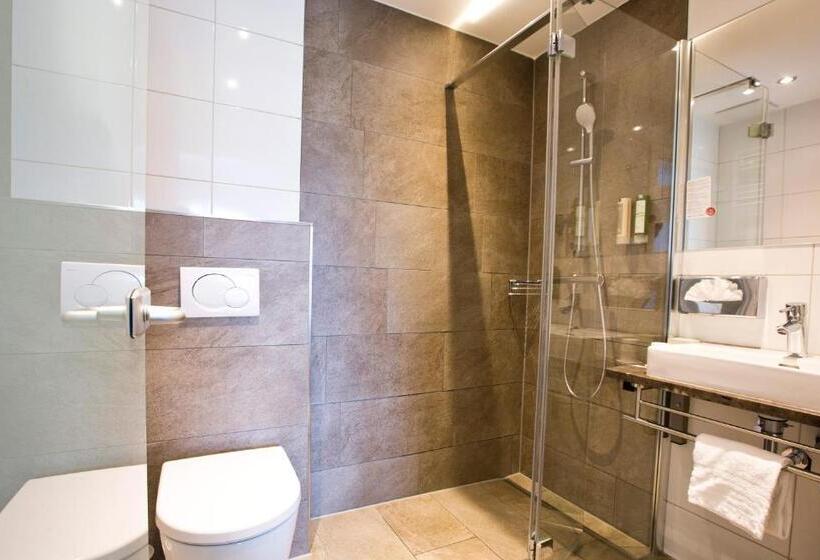 اتاق استاندارد یک نفره, Stadthotel Goldenes Schiff