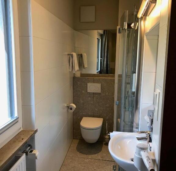 اتاق اکونومی یک تخته, Stadthotel Goldenes Schiff