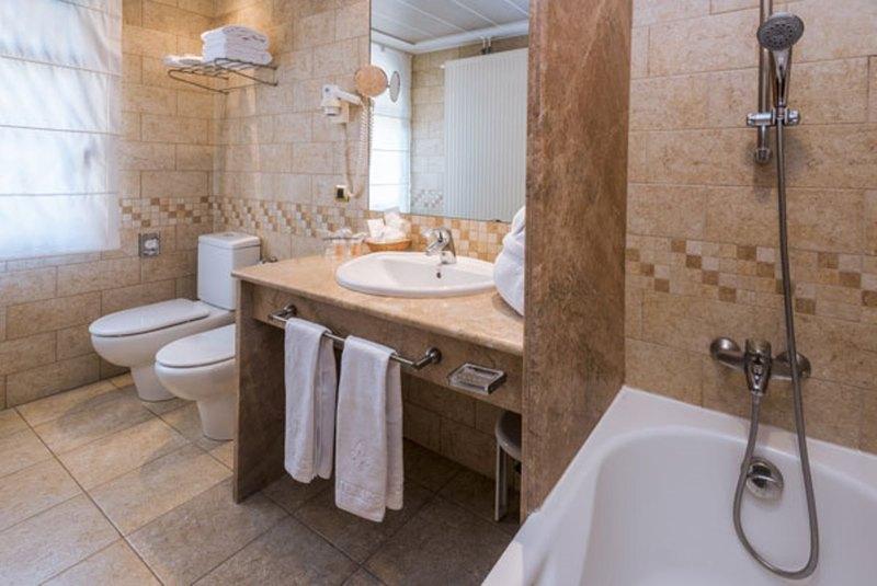 اتاق استاندارد, Spa Termes Carlemany